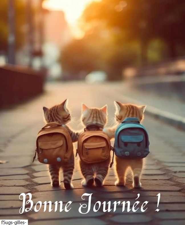 Aperçu du site SSTV de F4MDR Eric