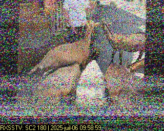 Aperçu du site SSTV de 14FRS1525 Jean-Claude (RA)
