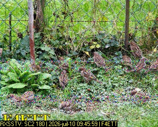 Aperçu du site SSTV de 14FRS1525 Jean-Claude (RA)