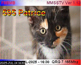Aperçu du site SSTV de 14HP56 Patrice