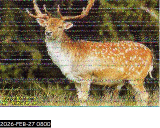 Aperçu du site SSTV de 14HP56 Patrice