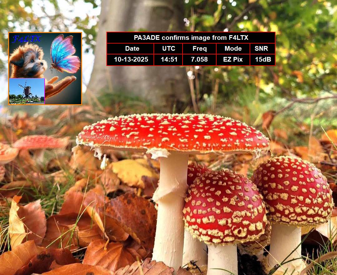 Aperçu du site SSTV de F4LTX Christian