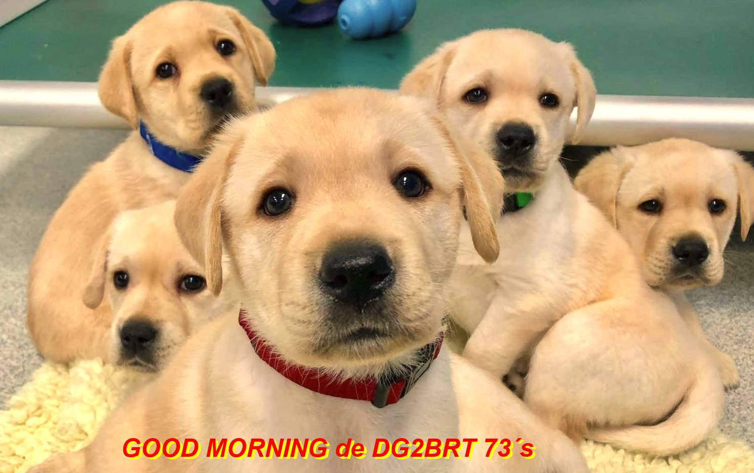 Aperçu du site SSTV de F4LTX Christian