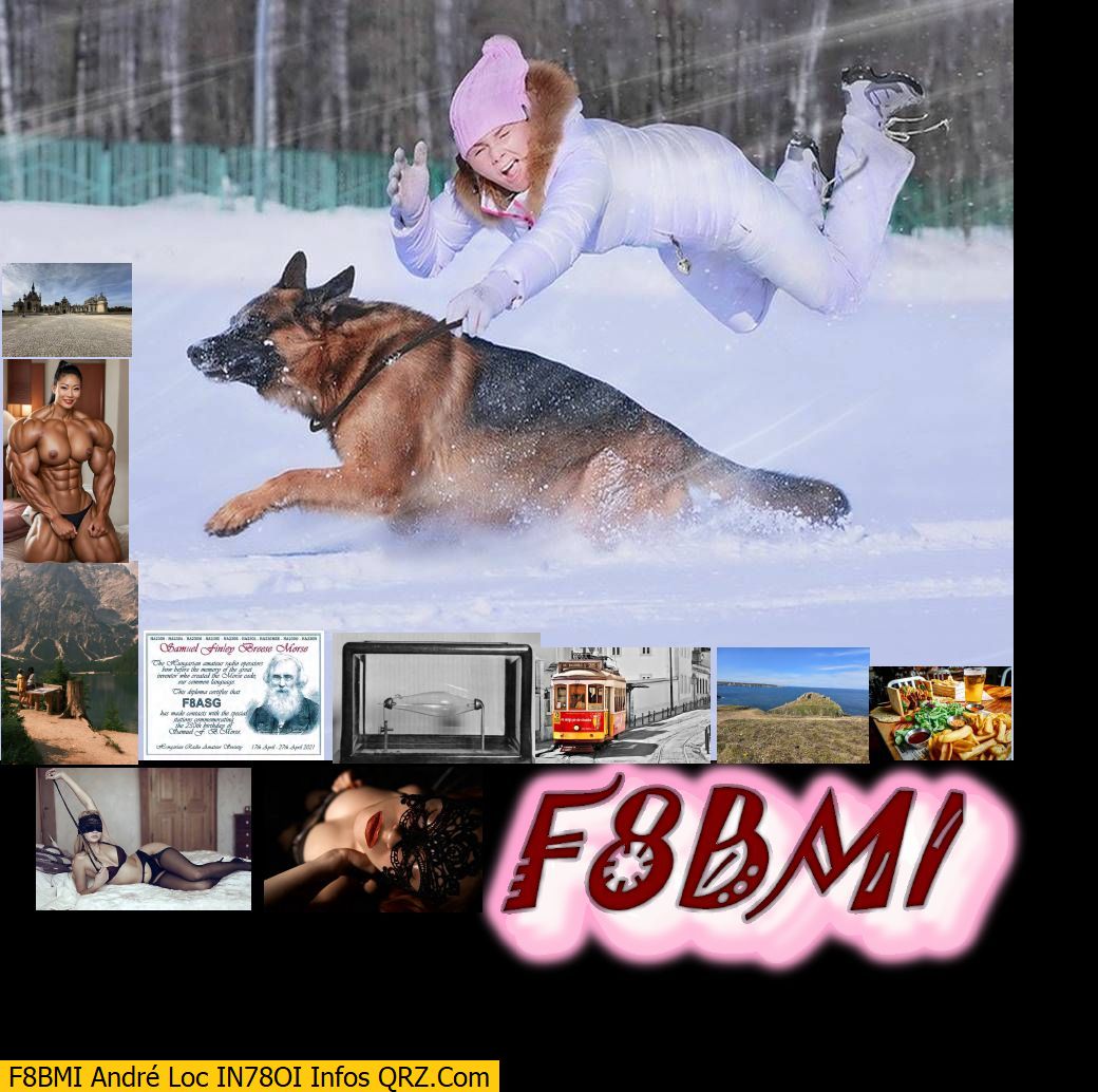 Aperçu du site SSTV de F4MDR Eric