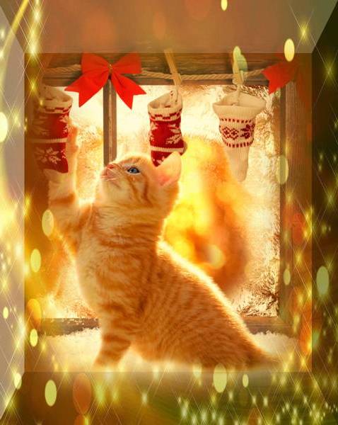 Aperçu du site SSTV de F4MDR Eric