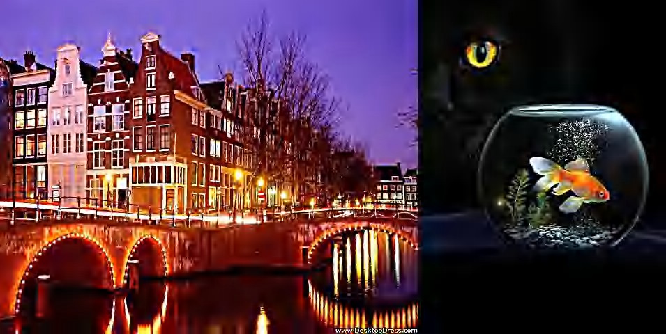 Aperçu du site SSTV de F4MDR Eric