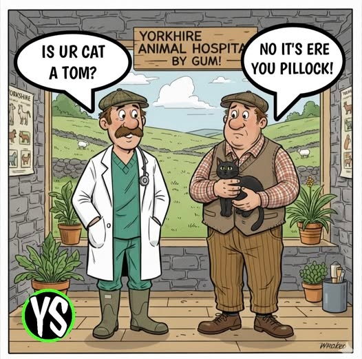 Aperçu du site SSTV de F4MDR Eric