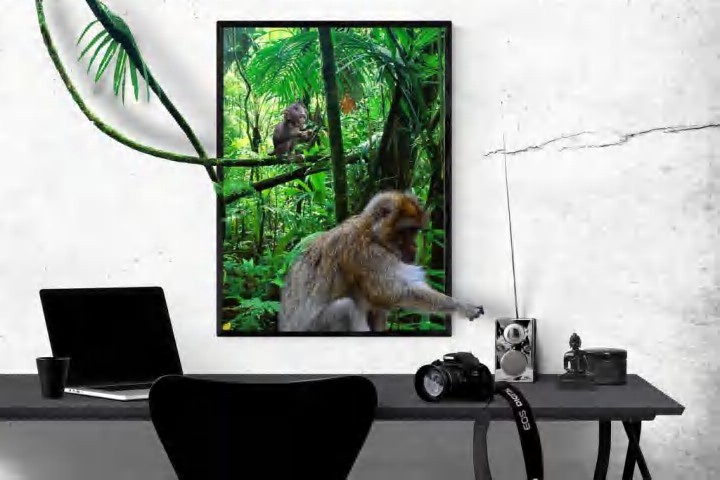 Aperçu du site SSTV de F4MDR Eric