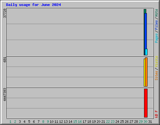 Daily usage for June 2024