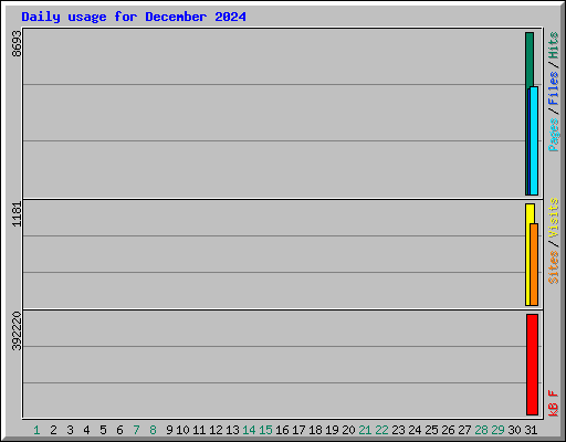 Daily usage for December 2024