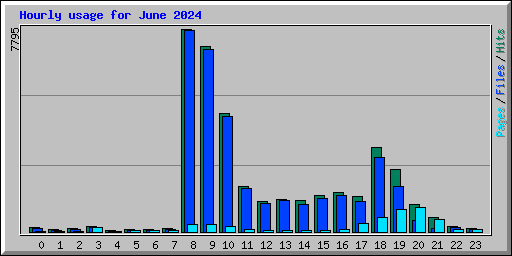 Hourly usage for June 2024