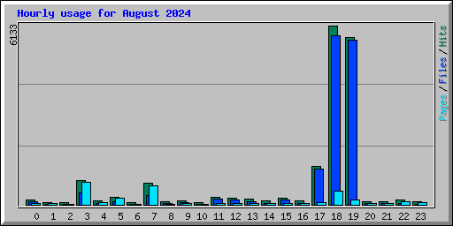 Hourly usage for August 2024