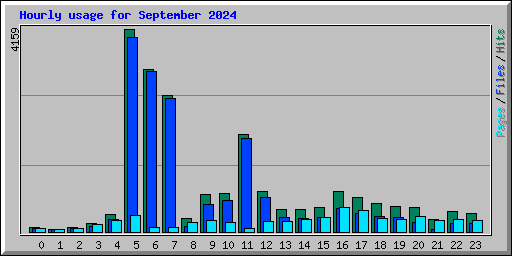Hourly usage for September 2024
