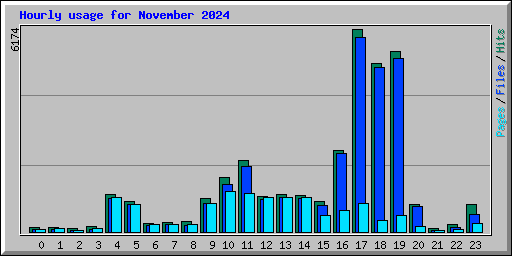 Hourly usage for November 2024