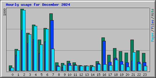 Hourly usage for December 2024