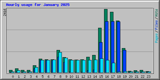 Hourly usage for January 2025