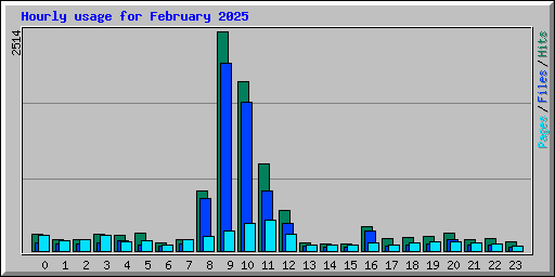 Hourly usage for February 2025