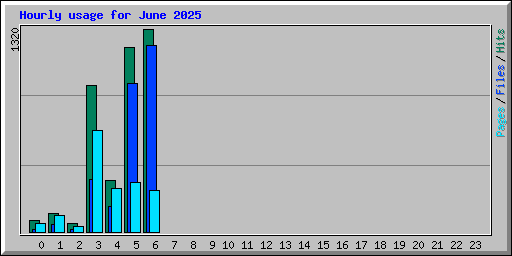 Hourly usage for June 2025