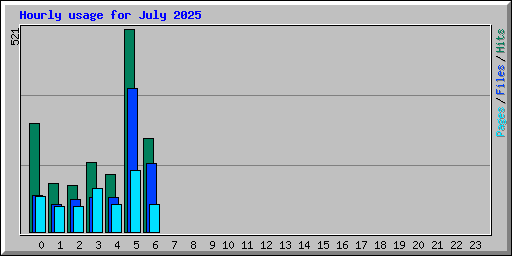 Hourly usage for July 2025