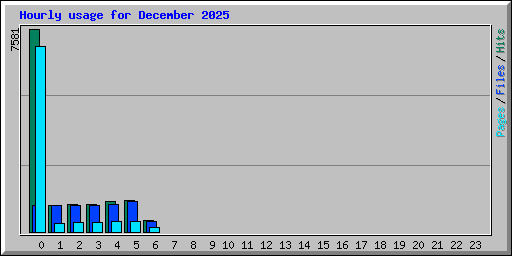 Hourly usage for December 2025